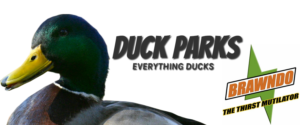 Duck life
